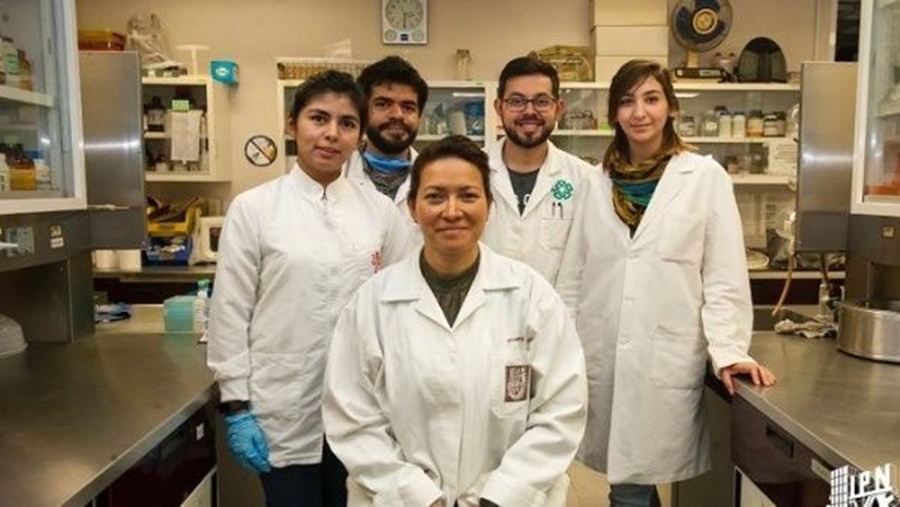 Ir para  <p><big>Eva Ram&oacute;n Gallegos, pesquisadora do&nbsp;Instituto Polit&eacute;cnico Nacionaldo&nbsp;M&eacute;xico (IPN),&nbsp;conseguiu erradicar completamente o&nbsp;V&iacute;rus do Papiloma Humano...
