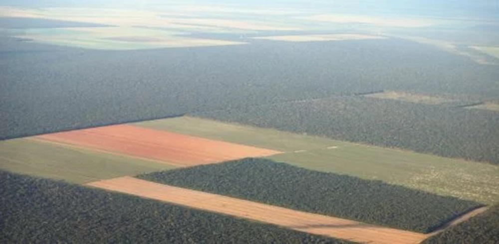 Ir para  <p><big>Em janeiro de 2019, o SAD (Sistema de Alerta de Desmatamento) detectou 108 quil&ocirc;metros quadrados de desmatamento na Amaz&ocirc;nia Legal, um aumento de 54% em rela&ccedil;&atilde;o a janeiro de 2018,...