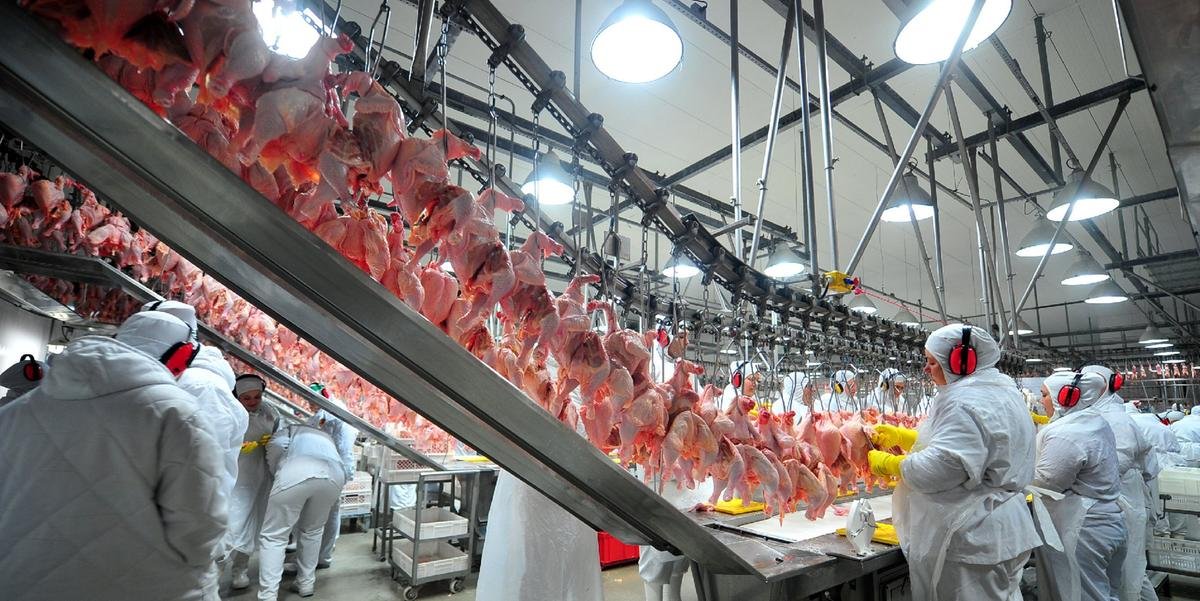 Ir para  <p>A autoridade sanit&aacute;ria da &Iacute;ndia aprovou a primeira permiss&atilde;o de importa&ccedil;&atilde;o para carne de frango in natura brasileira, desde o acordo sanit&aacute;rio firmado entre os dois...