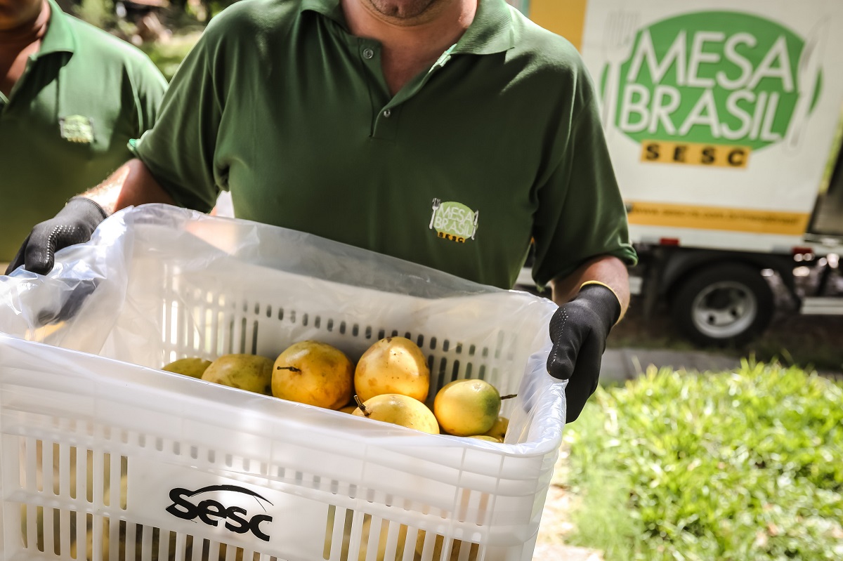 Ir para  <p><big>Aproveitando a &eacute;poca de colheita de frutas, o Programa Mesa Brasil Sesc de Erechim, realiza a campanha &ldquo;Pomares&rdquo;. Com o intuito de evitar o desperd&iacute;cio de alimentos, o Sesc arrecada de...