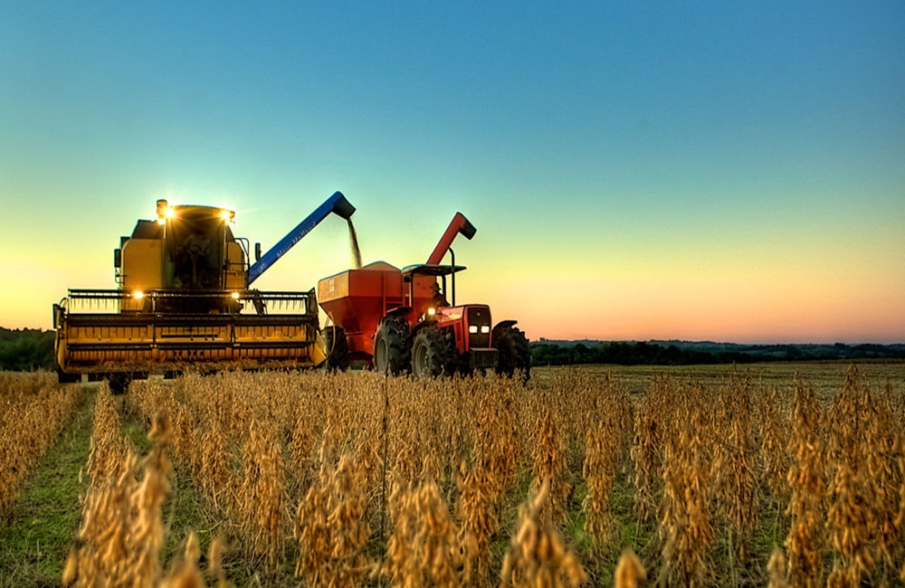 Ir para  <p>Gra&ccedil;as &agrave; voracidade chinesa, a colheita da soja no Brasil, que deveria cair levemente este ano, pode aumentar no ciclo 2019/20 at&eacute; superar a dos Estados Unidos, atualmente os maiores produtores mundiais....