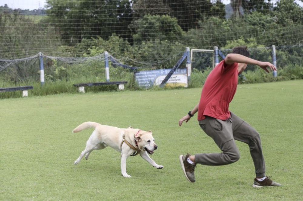 Ir para  <p>Os animais de estima&ccedil;&atilde;o h&aacute; muito tempo v&ecirc;m conquistando espa&ccedil;o na vida das pessoas. Segundo especialistas, eles trazem muitos benef&iacute;cios aos seres humanos, desenvolvem a...