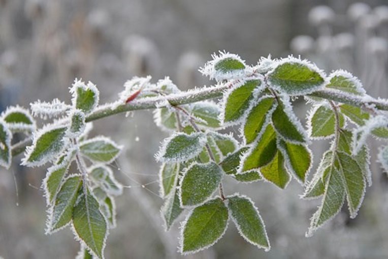 Ir para  <p>O m&ecirc;s que marca a segunda metade do ano come&ccedil;a com uma forte massa de ar frio, de origem polar, e atingir&aacute; Sul, Sudeste e Centro-Oeste do Brasil. O fen&ocirc;meno deve fazer a semana mais fria do ano...
