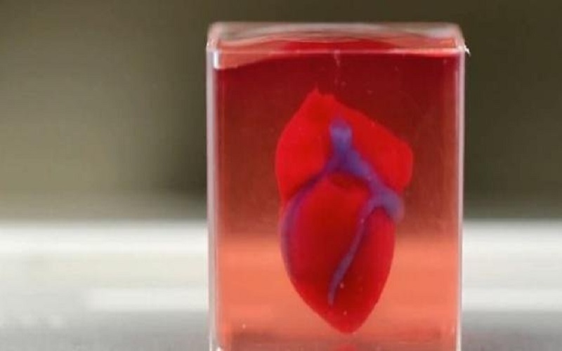 Ir para  <p>Uma equipe de cientistas da Universidade de Tel Aviv (TAU, de Israel) conseguiu um feito in&eacute;dito. No laborat&oacute;rio de biologia molecular e biotecnologia da institui&ccedil;&atilde;o, eles puderam produzir o...