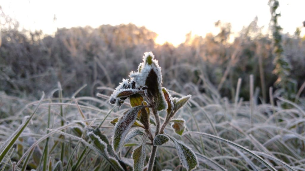 Ir para  <p>O frio no Rio Grande do Sul foi intenso no come&ccedil;o desta quarta-feira. O aviso foi dado ainda na noite dessa ter&ccedil;a, quando as m&iacute;nimas do dia foram registradas. Hoje, depois do amanhecer, ao menos...