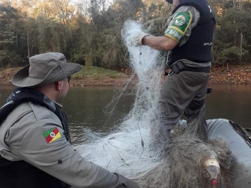 Ir para  <p><big>A Patrulha Ambiental de Erechim realizou neste fim de semana uma opera&ccedil;&atilde;o de combate a pesca predat&oacute;ria no Rio Uruguai. Durante a a&ccedil;&atilde;o a Patram apreendeu,...