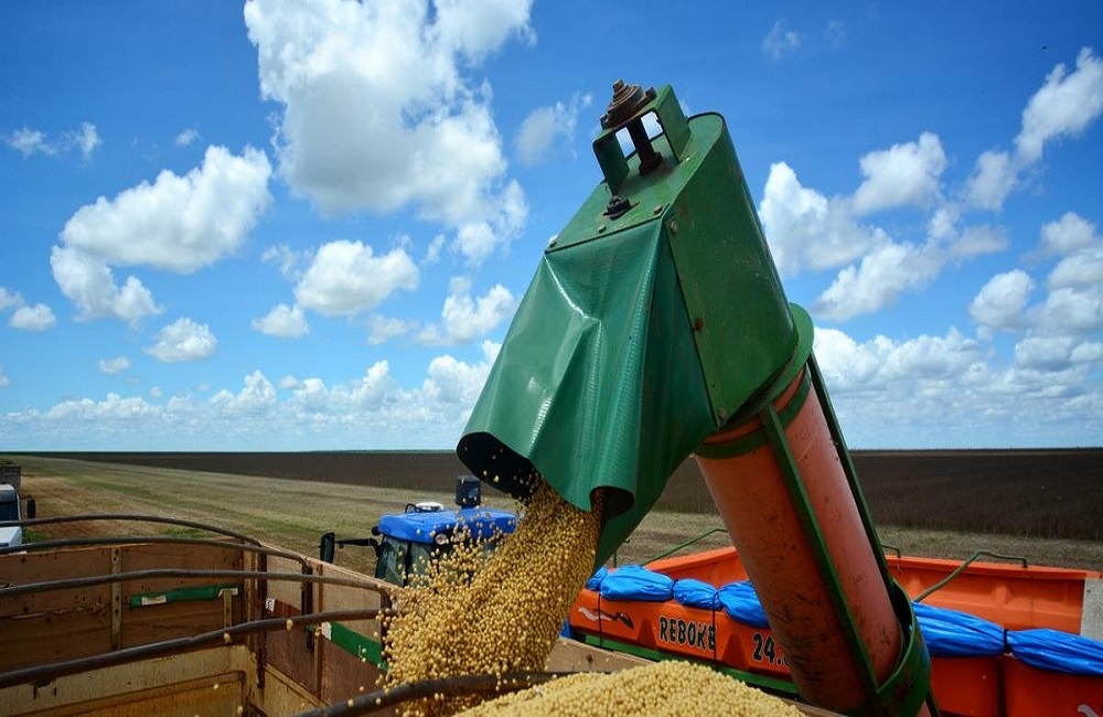 Ir para  <p>A safra agr&iacute;cola brasileira alcan&ccedil;ou um valor de produ&ccedil;&atilde;o recorde de R$ 343,5 bilh&otilde;es em 2018, um crescimento de 8,3% em compara&ccedil;&atilde;o com o desempenho registrado...