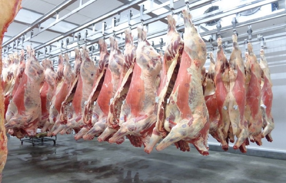Ir para  <p>A China habilitou 25 novas plantas brasileiras de carne - 17 de bovinos, seis de frango, uma de su&iacute;nos e uma de asininos. Com isso, o Pa&iacute;s, que antes tinha 64 plantas habilitadas a exportar para o gigante...
