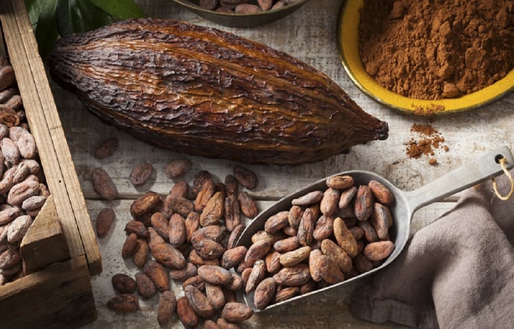 Ir para  <p>O Brasil foi oficialmente reconhecido pela Organiza&ccedil;&atilde;o Internacional do Cacau (ICCO, na sigla em ingl&ecirc;s) como pa&iacute;s exportador de 100% de cacau fino e de aroma, informa o Minist&eacute;rio da...