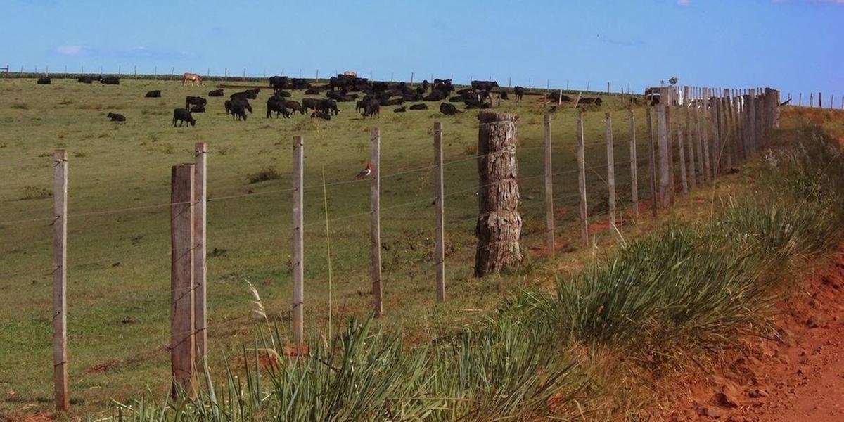 Ir para  <p>Os propriet&aacute;rios rurais de todo o pa&iacute;s t&ecirc;m at&eacute; para entregar a Declara&ccedil;&atilde;o do Imposto sobre a Propriedade Territorial Rural (DITR). O prazo acaba &agrave;s 23h59min59s....
