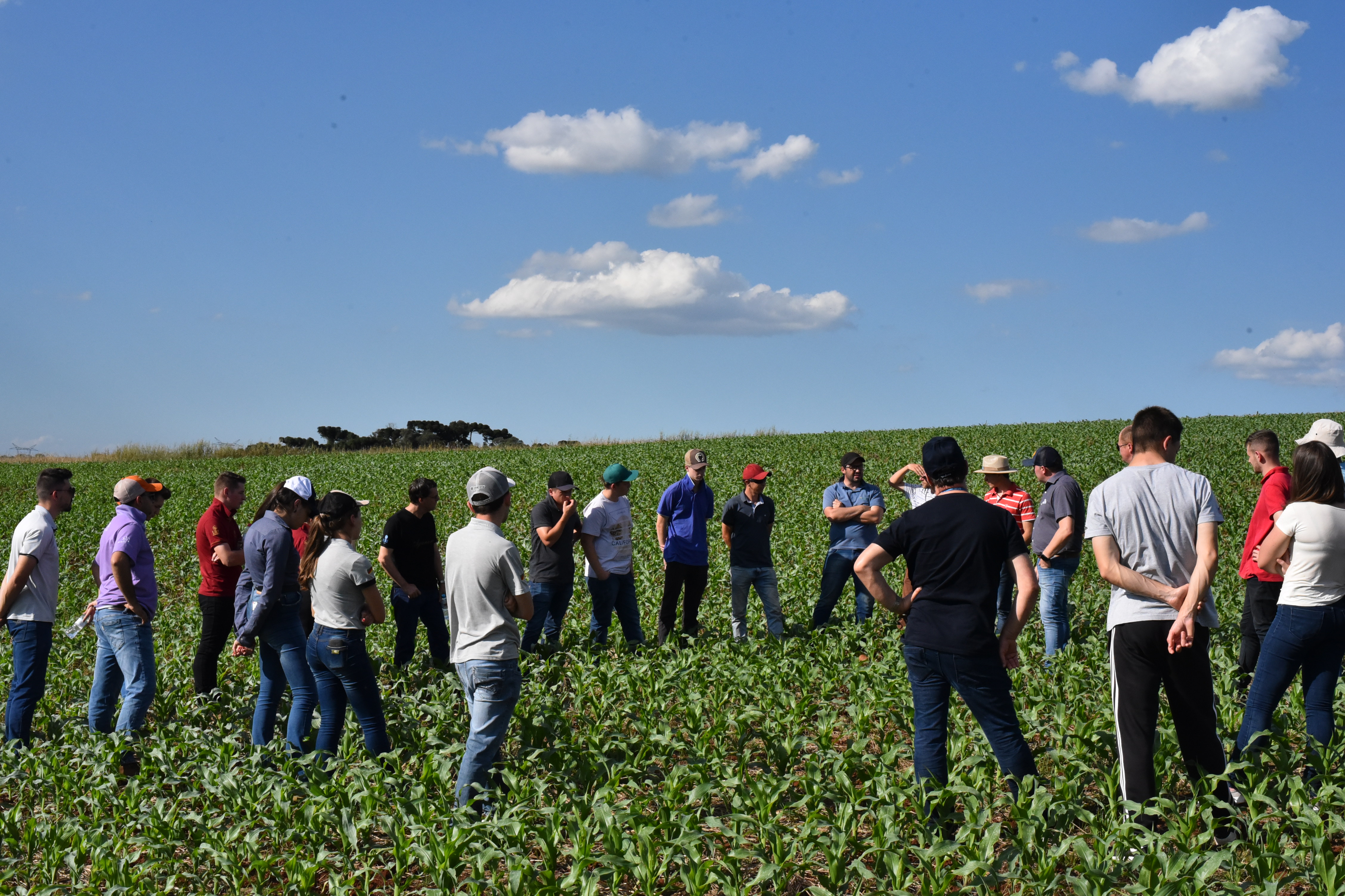 Ir para  <p><big>&nbsp;Professores e acad&ecirc;micos do Curso de Agronomia da URI realizaram na quarta-feira, 9, uma visita t&eacute;cnica na &nbsp;Fazenda Girardi, no interior de Erechim, onde foram recebidos pelo...