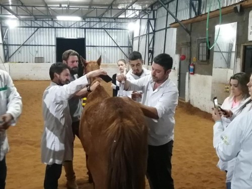 Ir para  <p><big>A I Semana Acad&ecirc;mica de Medicina Veterin&aacute;ria da URI, realizada de 23 a 28 de setembro, promoveu minicursos nas mais diversas &aacute;reas de conhecimento. Um deles foi sobre Medicina...