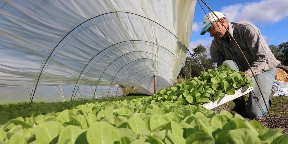 Ir para  <p>Carnes, fumo e produtos florestais foram o destaque das exporta&ccedil;&otilde;es do agroneg&oacute;cio ga&uacute;cho no terceiro trimestre de 2019, enquanto que o principal produto exportado pelo setor, a soja, sofreu...