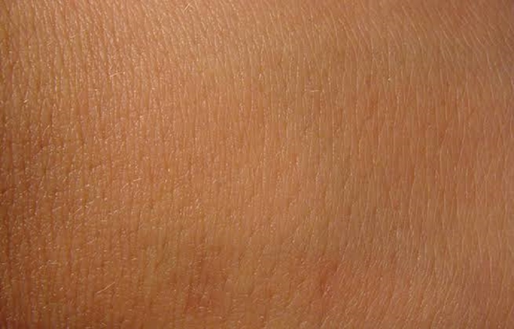 Ir para  <p>O uso de intelig&ecirc;ncia artificial no diagn&oacute;stico de c&acirc;ncer de pele vem sendo estudado em todo o mundo como um poss&iacute;vel auxiliar dos dermatologistas. Agora, uma pesquisa de cientistas brasileiros...