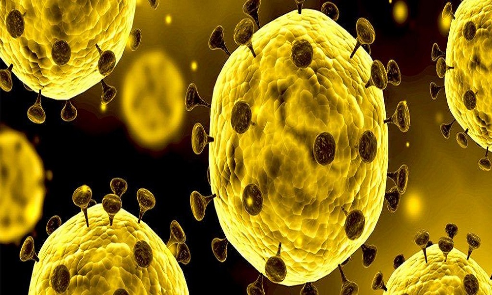 Ir para  <p>O Minist&eacute;rio da Sa&uacute;de concedeu uma entrevista coletiva no final da manh&atilde; desta quinta-feira para falar sobre o coronav&iacute;rus, epidemia que matou 25 na China e que j&aacute; registrou casos de...