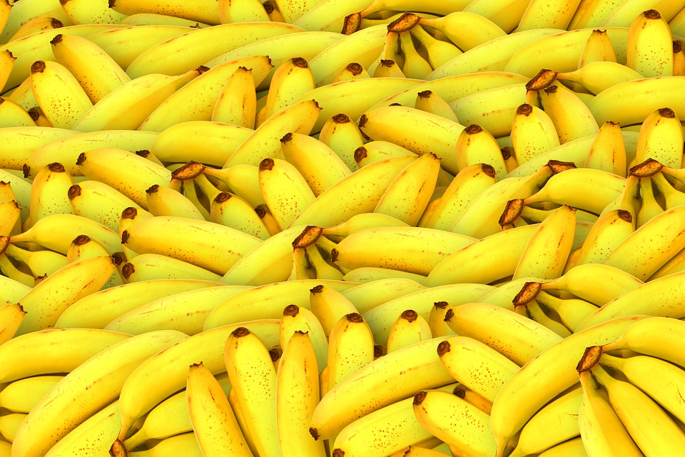 Ir para  <p>O Brasil fechou 2019 batendo recorde nas exporta&ccedil;&otilde;es de frutas. Pela primeira vez, o pa&iacute;s atingiu US$ 1 bilh&atilde;o em neg&oacute;cios, segundo dados do Minist&eacute;rio da Agricultura. As...