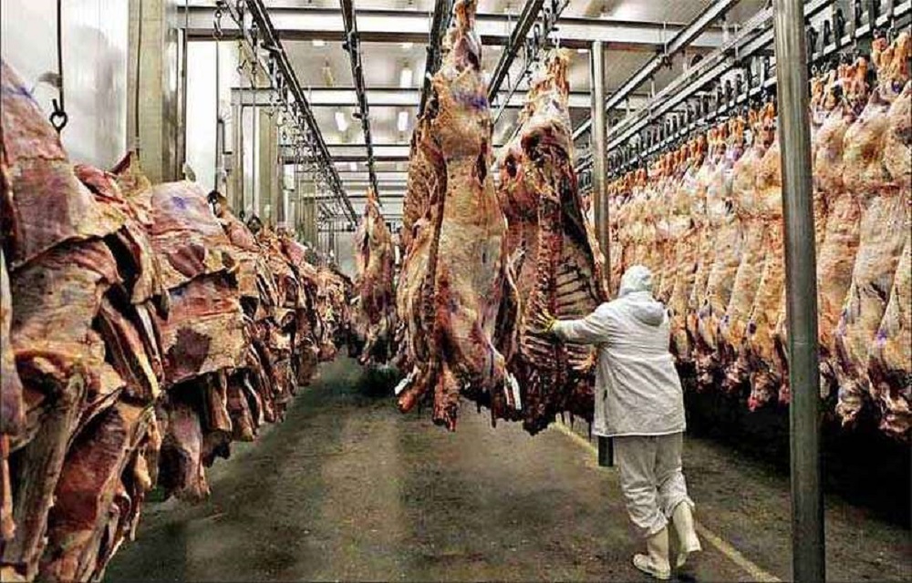 Ir para  <p>O Brasil deve produzir 10,5 milh&otilde;es de toneladas de carne bovina e 4,2 milh&otilde;es de toneladas de carne su&iacute;na em 2020, estima o Departamento de Agricultura dos Estados Unidos (USDA, na sigla em...