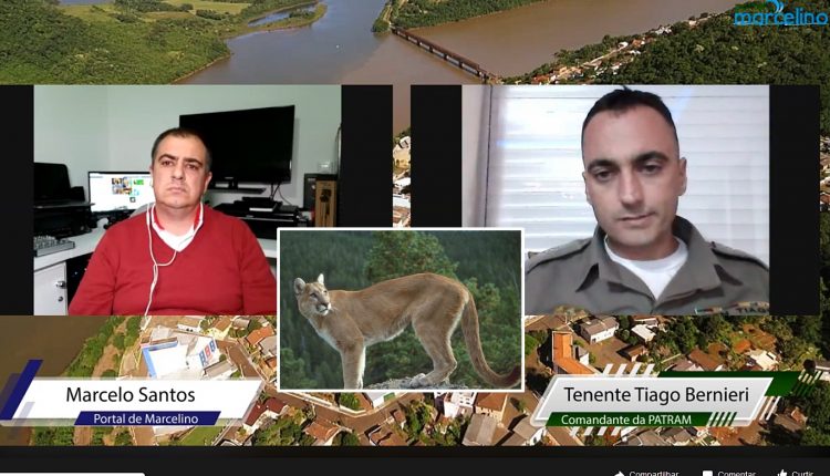 Ir para  <p><big>O comando da Patrulha Ambiental da Brigada Militar com sede em Erechim confirmou que nas matas nativas de Marcelino Ramos e regi&atilde;o existem on&ccedil;as-pardas. A informa&ccedil;&atilde;o foi repassada...