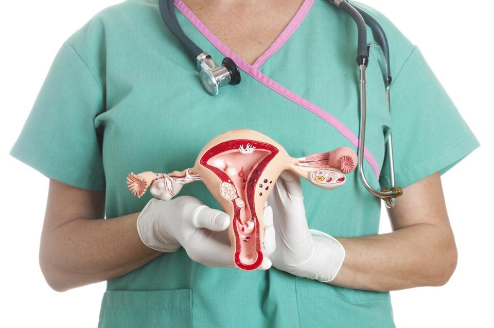 Ir para  <p><big>O c&acirc;ncer de ov&aacute;rio &eacute; o segundo tipo de c&acirc;ncer ginecol&oacute;gico mais comum entre as mulheres, atr&aacute;s apenas do de colo do &uacute;tero e a s&eacute;tima maior...