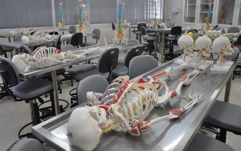 Ir para  <p>A URI Erechim abre nesta segunda-feira, primeiro de junho, as inscri&ccedil;&otilde;es para os alunos do Curso de Medicina da Universidade que desejam se candidatar na busca de uma das tr&ecirc;s bolsas integrais de estudos....