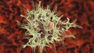 Ir para  <p><big>O Departamento de Sa&uacute;de da Fl&oacute;rida afirmou que uma pessoa no condado de Hillsborough contraiu&nbsp;<em>Naegleria fowleri</em>, uma microsc&oacute;pica ameba unicelular que causa...