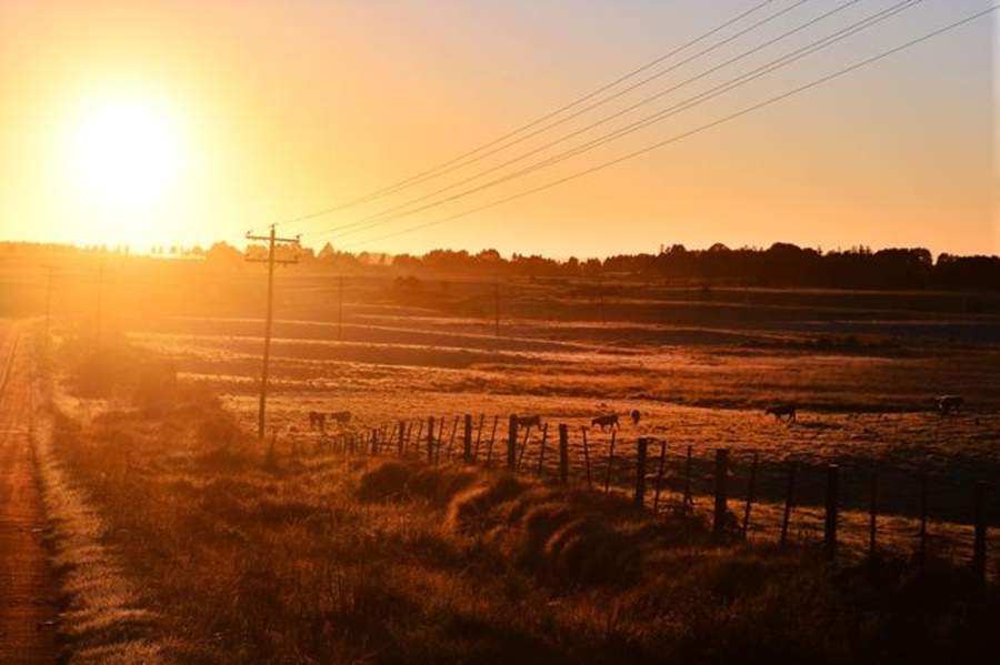 Ir para  <p><big>O final de semana ser&aacute; marcado pelo retorno do frio no Rio Grande do Sul. Com a mudan&ccedil;a na dire&ccedil;&atilde;o do vento (que passa a soprar do sul, trazendo o ar frio das zonas polares), as...