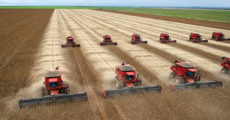 Ir para  <p>A colheita das grandes culturas e o in&iacute;cio do plantio das safras de inverno impulsionaram a gera&ccedil;&atilde;o de empregos formais na agropecu&aacute;ria brasileira em junho. &Eacute; a...
