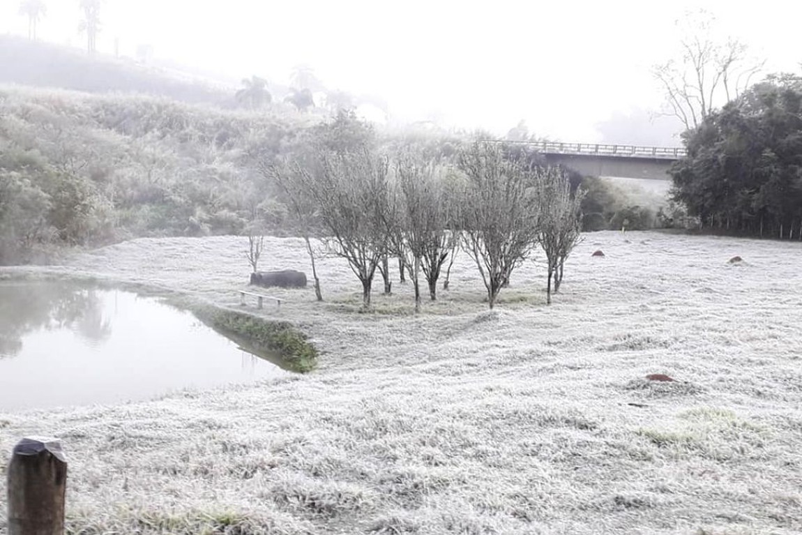 Ir para  <p>Depois de uma&nbsp;<a href="https://www.correiodopovo.com.br/not%C3%ADcias/geral/pelo-menos-oito-cidades-do-rio-grande-do-sul-registram-queda-de-neve-1.468494"><strong>quinta-feira com...