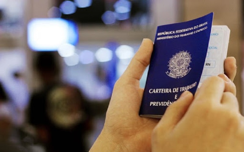 Ir para  <p>A&nbsp;popula&ccedil;&atilde;o ocupada&nbsp;do Brasil cresceu 2,5% em 2019 e superou a marca de 94,6 milh&otilde;es de pessoas. Trata-se da maior alta no n&uacute;mero de trabalhadores com mais de 14 anos desde...