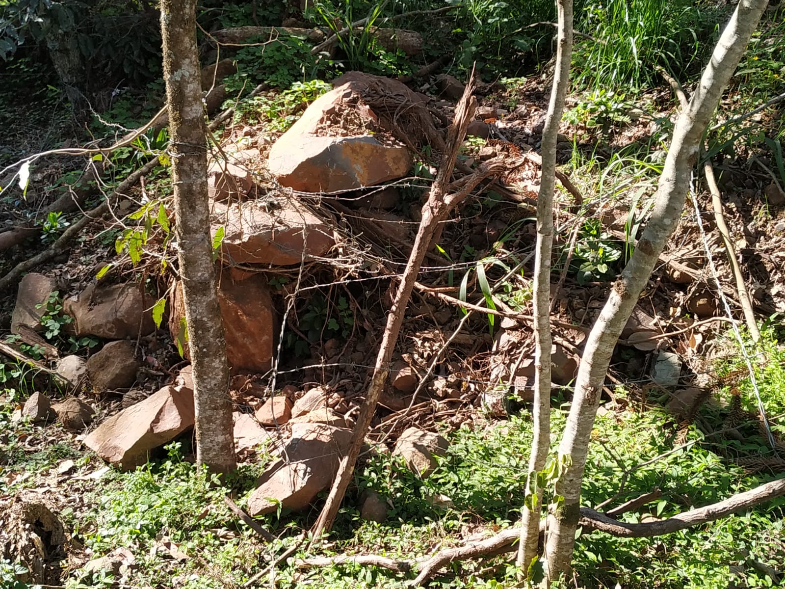Ir para  <p>Na &uacute;ltima segunda-feira (24/08), uma propriedade rural na Linha Anta Mansa, interior de Viadutos, foi alvo da a&ccedil;&atilde;o de v&acirc;ndalos. Chegando ao local, o propriet&aacute;rio constatou que a cerca...