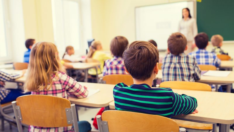 Ir para  <p>Planejada e discutida internamente h&aacute; cerca de cinco meses, a retomada das atividades presenciais nas escolas da rede p&uacute;blica estadual est&aacute; prevista para iniciar na pr&oacute;xima...
