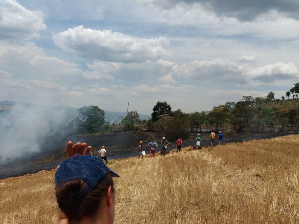 Ir para  <p><big>Mais um grande inc&ecirc;ndio em lavoura foi registrado no interior do munic&iacute;pio de Marcelino Ramos. Desta vez o fogo destruiu entre 4 e 5 hectares de uma lavoura de trigo na comunidade de S&atilde;o...