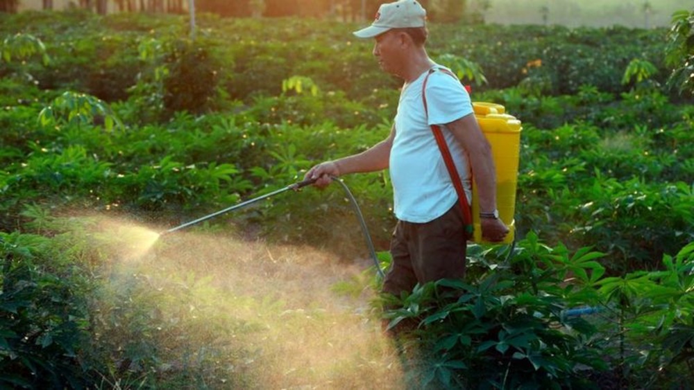 Ir para  <p><big>H&aacute; cerca de 15 anos, a Campanha ga&uacute;cha &mdash; a metade sul do Rio Grande do Sul &mdash; come&ccedil;ou a entrar na lista das regi&otilde;es produtoras de uvas e vinhos finos do mundo....