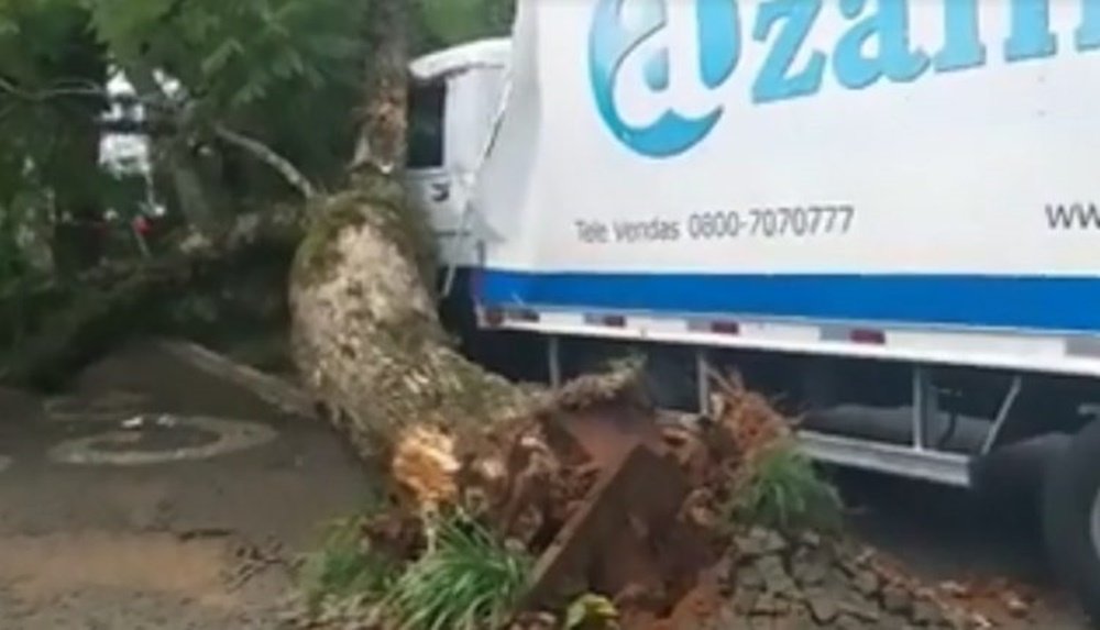 Ir para  <p><big>Uma &aacute;rvore caiu sobre um caminh&atilde;o na tarde desta segunda-feira (8), na Av. Maur&iacute;cio Cardoso, em Erechim.</big></p>

<p><big>Segundo informa&ccedil;&otilde;es,...