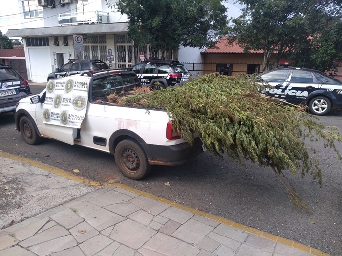Ir para  <p><big>Ap&oacute;s den&uacute;ncia an&ocirc;nima, o efetivo da Brigada Militar, em a&ccedil;&atilde;o conjunta c/ a Pol&iacute;cia Civil de &Aacute;urea, deslocou at&eacute; o interior daquele...