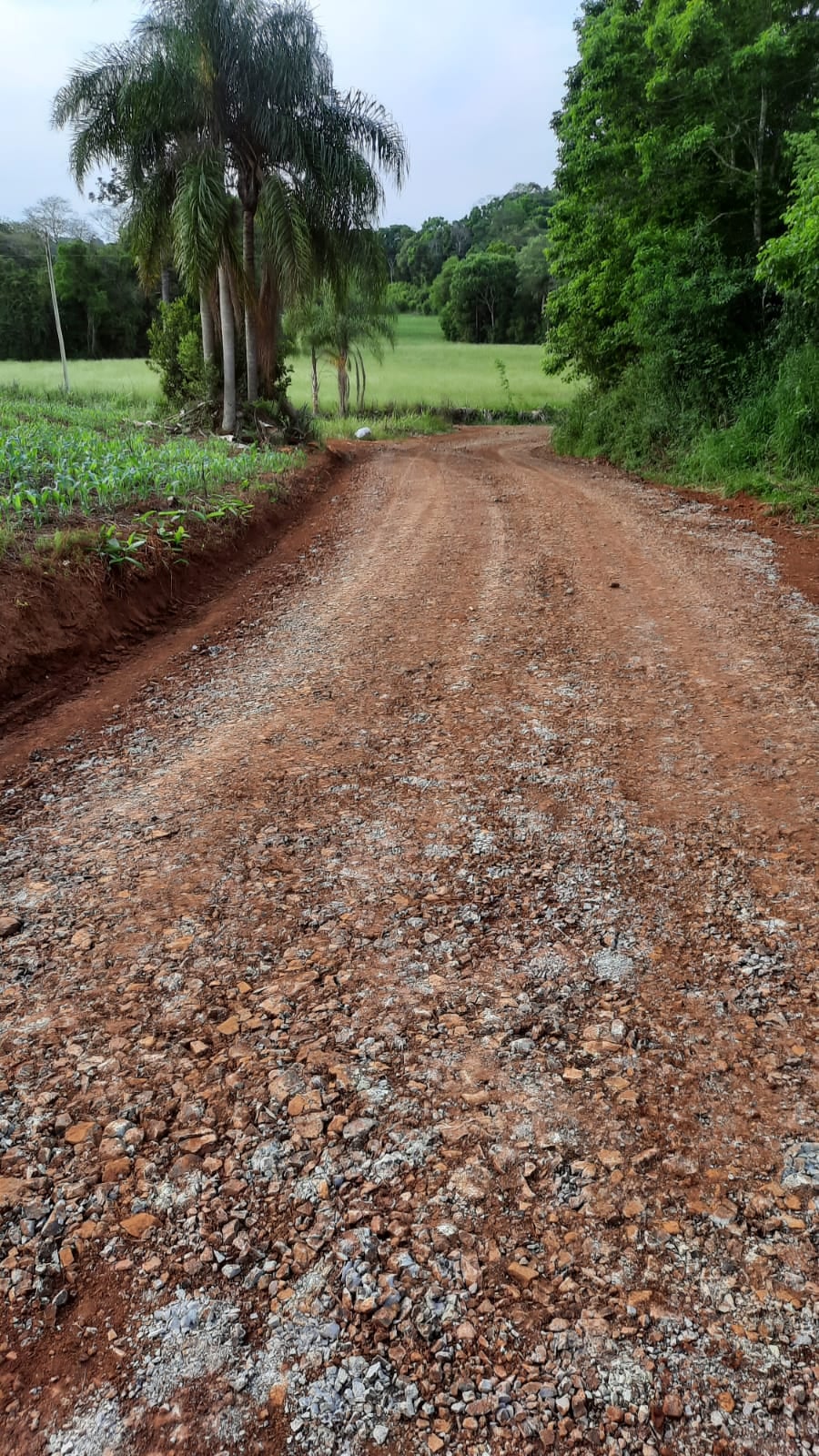 Ir para  <p>A Secretaria Municipal de Obras realizou limpeza e cascalhamento na estrada da Linha Washington Luiz, garantindo boas condi&ccedil;&otilde;es de trafegabilidade e oferecendo melhor seguran&ccedil;a e conforto para aqueles que...