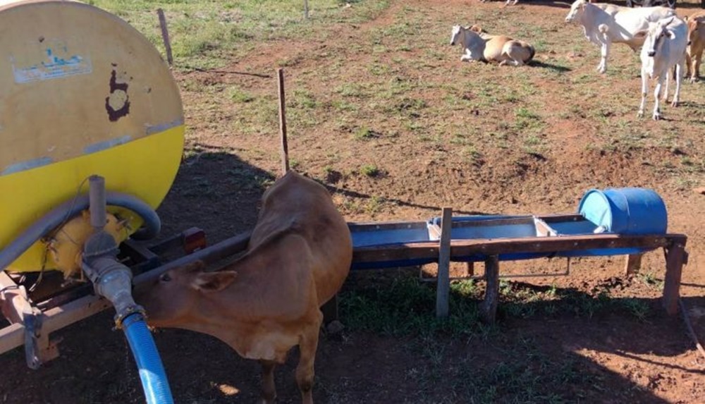 Ir para  <p><big>&lsquo;Situa&ccedil;&atilde;o preocupante e assustadora&rsquo;. Com estas palavras, o secret&aacute;rio de Agricultura de Aratiba, Joarez Miechuanski, define o momento da estiagem no munic&iacute;pio....