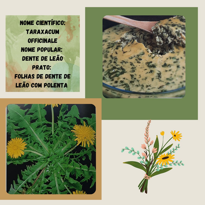 Ir para  <p><big>Uma pesquisa desenvolvida com alunas da UFFS &ndash; Campus Erechim demonstra o interesse deste p&uacute;blico sobre as Plantas Aliment&iacute;cias N&atilde;o Convencionais, conhecidas como PANC. O estudo foi...