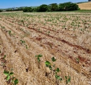 Ir para  <p><big>A&nbsp;seca que atinge estados do Sul do Brasil, especialmente o Rio Grande do Sul, j&aacute; &eacute; considerada a maior em pelo menos 70 anos, afirmou o agrometeorologista Marco Ant&ocirc;nio dos Santos...