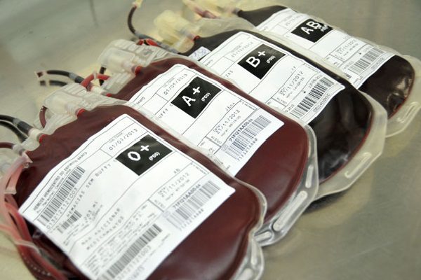 Ir para  <p><big>Ter&ccedil;a-feira (2), ser&aacute; um grande dia para Erechim e regi&atilde;o, a assinatura do contrato de constru&ccedil;&atilde;o da nova sede do Banco de Sangue do Alto Uruguai. As 11h, no...