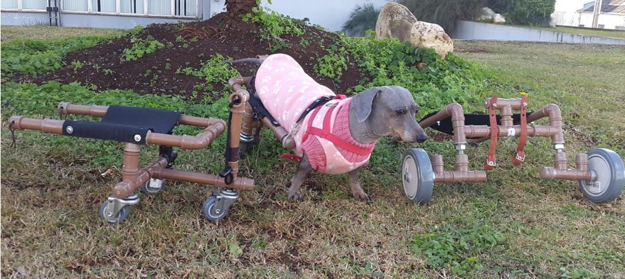Ir para  <p>Na vida de cada pessoa existem muitas coisas que acontecem e marcam para sempre, a compra de um im&oacute;vel, o carro novo na garagem, a viagem dos sonhos, aquela aquisi&ccedil;&atilde;o t&atilde;o sonhada e outras...