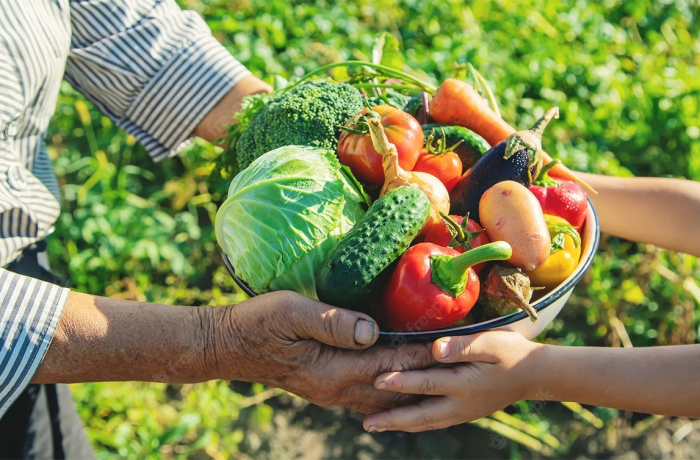 Ir para  <p>O Sindicato Unificado dos Trabalhadores na Agricultura Familiar do Alto Uruguai - SUTRAF-AU, tem recebido nos &uacute;ltimos dias in&uacute;meras queixas de aposentados ou pensionistas da agricultura que tiveram desconto sindical...