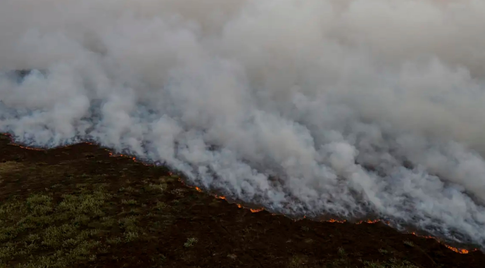 Ir para  <p><big>Equipes de brigadistas est&atilde;o intensificando as a&ccedil;&otilde;es de combate aos inc&ecirc;ndios que atingem o norte do Pantanal. Nesta quinta-feira (16), o Painel do Fogo do Centro Gestor e Operacional...