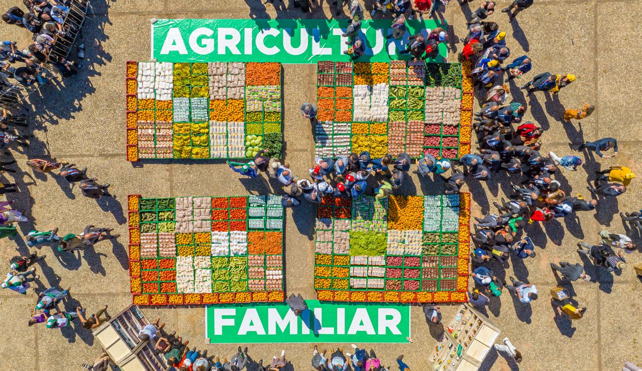 Ir para  <p><big>A Companhia Nacional de Abastecimento (Conab) ir&aacute; formalizar, nesta quarta-feira (7), quatro projetos do Programa de Aquisi&ccedil;&atilde;o de Alimentos (PAA) que foram apresentados por cooperativas da...