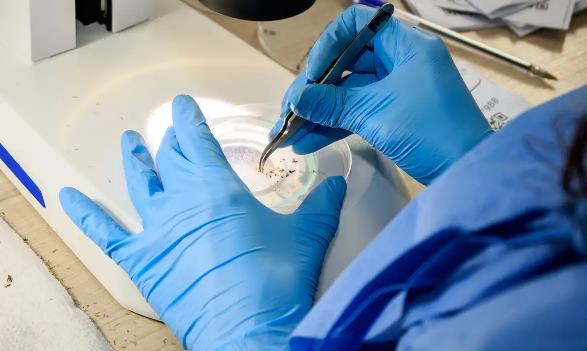 Ir para  <p><big>Em meio a um cen&aacute;rio de explos&atilde;o de casos de dengue, profissionais de sa&uacute;de de todo o pa&iacute;s podem ter acesso a um curso gratuito de capacita&ccedil;&atilde;o sobre...