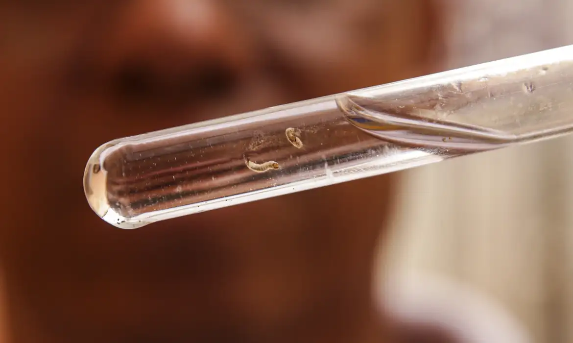 Ir para  <p><big>Desde o in&iacute;cio do ano, o Brasil registrou 1.017.278 casos prov&aacute;veis de dengue e 214 mortes confirmadas pela doen&ccedil;a. Outros 687 &oacute;bitos est&atilde;o em...