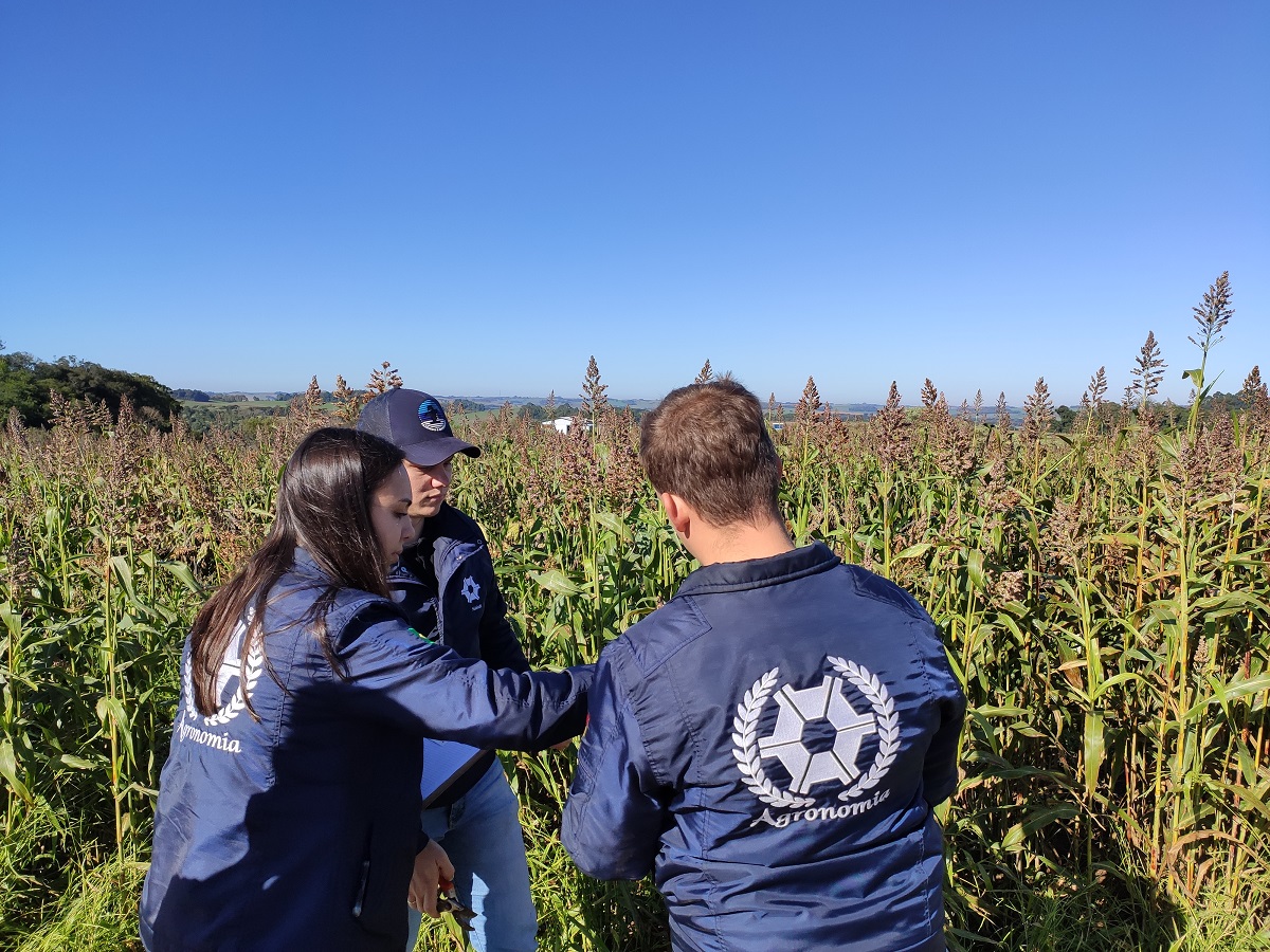 Ir para  <p><big>A Universidade Federal da Fronteira Sul (UFFS) Campus Erechim promove, no dia 13 de mar&ccedil;o, o evento Agronomia em Campo, com o objetivo de integrar o conhecimento te&oacute;rico ao pr&aacute;tico e difundir...