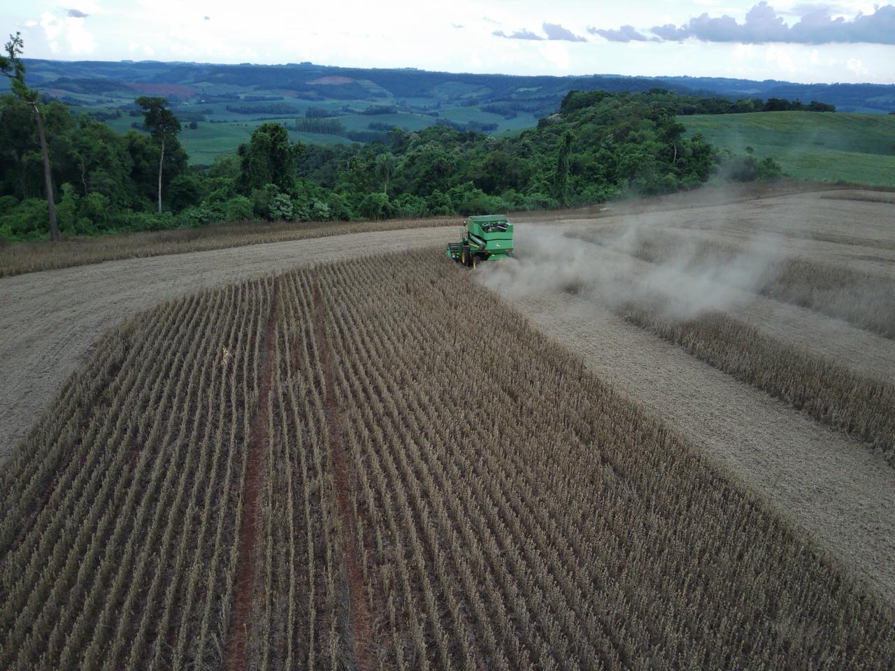 Ir para  <p><big>Com 65% das lavouras de soja no Rio Grande Sul em fase de enchimento de gr&atilde;os e 19% em matura&ccedil;&atilde;o, a colheita do gr&atilde;o avan&ccedil;ou para 1% da &aacute;rea cultivada nesta...