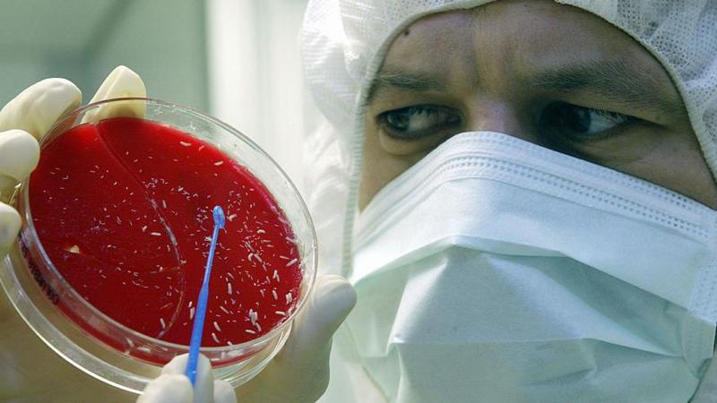 Ir para  <p><big>Pelos Correios, min&uacute;sculas larvas j&aacute; foram despachadas de um laborat&oacute;rio de Campinas, no interior de S&atilde;o Paulo, rumo a hospitais de cidades como Natal, Rio de Janeiro,...