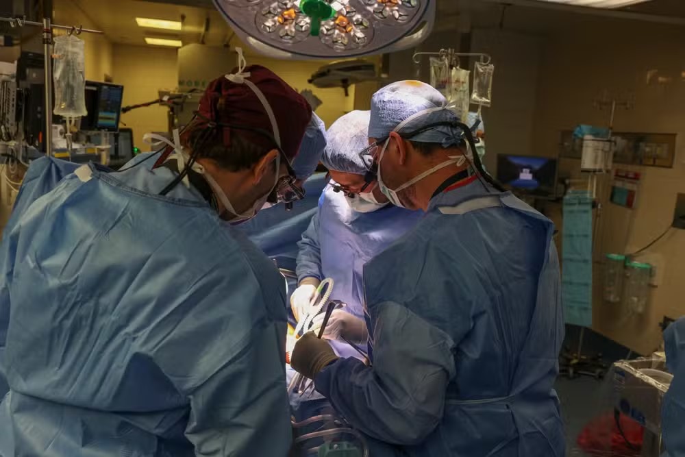 Ir para  <p><big>O primeiro ser humano vivo a receber um&nbsp;<a href="https://g1.globo.com/saude/noticia/2024/03/21/medico-brasileiro-comanda-o-1o-transplante-de-rim-de-porco-para-um-humano-nos-eua.ghtml">rim de porco...